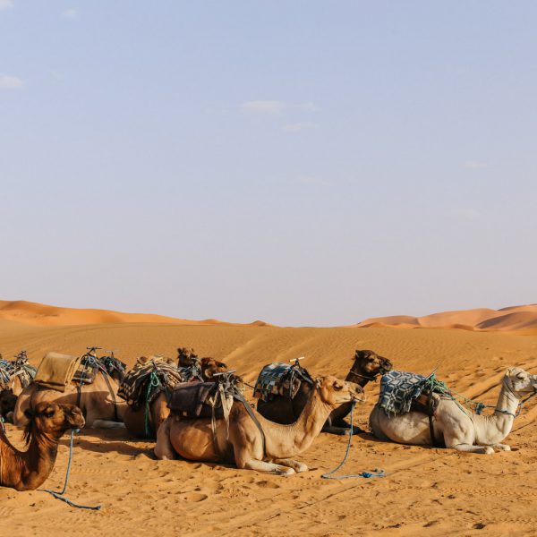 Morocco deserts photos - Morocco Fixer