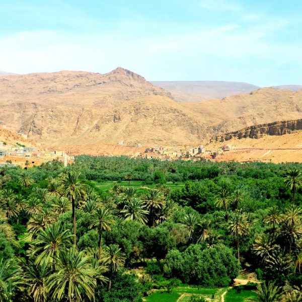 Morocco oasis photos - Morocco Fixer